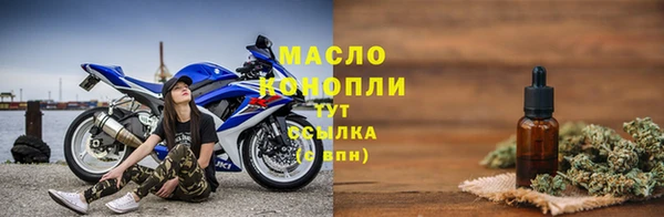 прущий лед Богданович