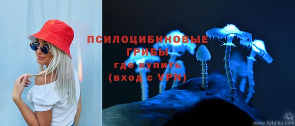 гашик Бугульма