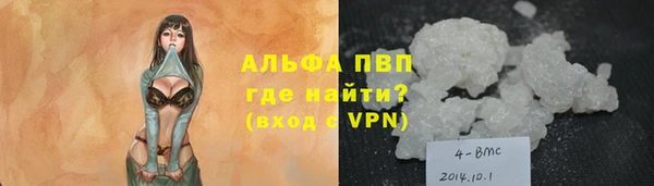 прущий лед Богданович