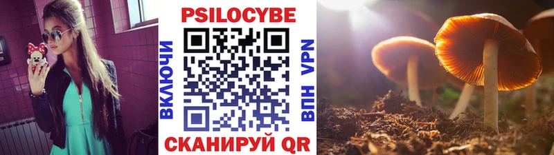 Псилоцибиновые грибы Magic Shrooms  Вилюйск 